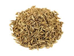 Manufacturers Exporters and Wholesale Suppliers of Cumin Seeds Ahmedabad Gujarat